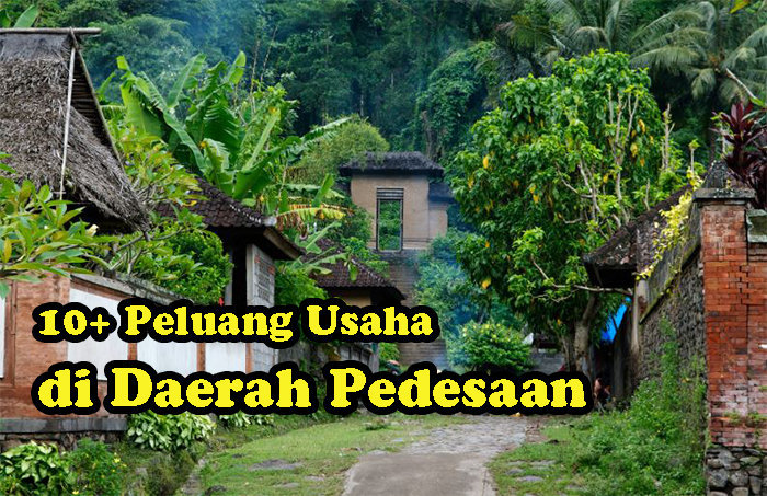 Peluang Usaha di Desa